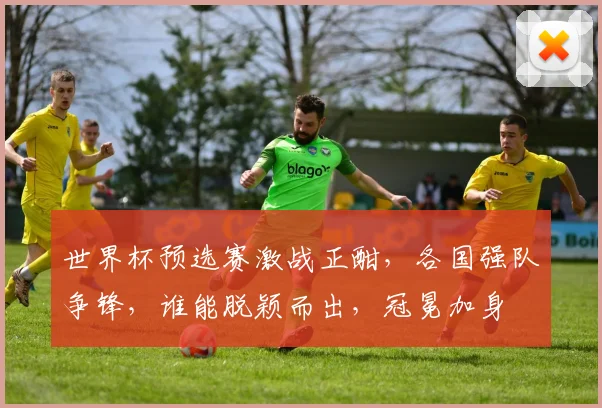 世界杯预选赛激战正酣，各国强队争锋，谁能脱颖而出，冠冕加身