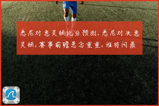 悉尼对惠灵顿比分预测,悉尼对决惠灵顿,赛事前瞻悬念重重,谁将问鼎胜利