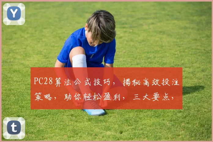 PC28算法公式技巧，揭秘高效投注策略，助你轻松盈利，三大要点，不容错过