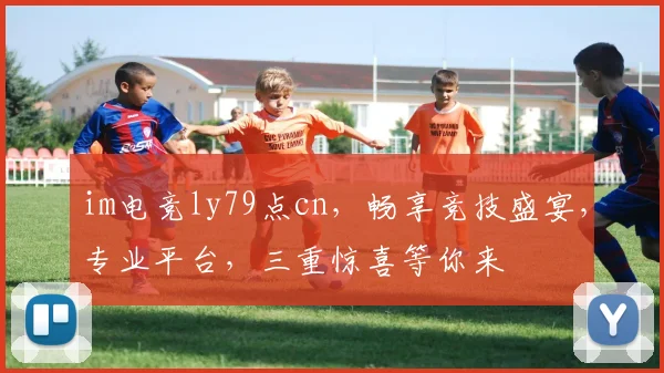 im电竞ly79点cn，畅享竞技盛宴，专业平台，三重惊喜等你来
